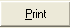 BTN_PrintWords