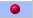 Selected Appointment Icon